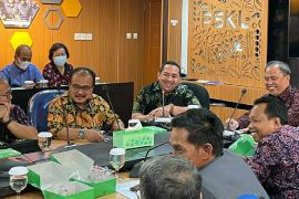 Pinto: cegah "free rider" dalam pengelolaan perhutanan sosial di Jambi