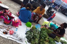 Pemerintah Biak bantu permodalan 150 pelaku usaha OAP