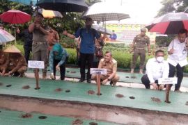 Pemrov Riau bagikan 65 ribu bibit cabai gratis ASN, KWT dan ke masyarakat