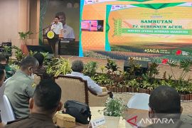 Pj Gubernur minta APIP-APH optimalkan pengawasan pangan di Aceh