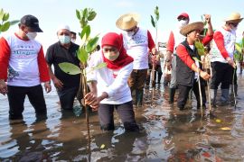 Pemprov Jatim gelar festival mangrove di Pasuruan