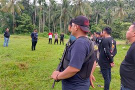 Polda Banten ungkap penemuan tiga hektare ladang ganja di Aceh Utara