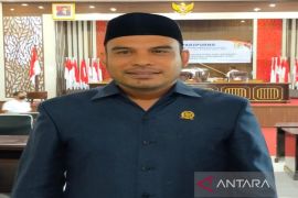 DPRD Kotabaru minta pemda perkuat PAD melalui pajak walet