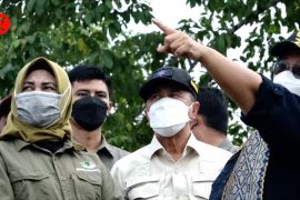 Menteri Siti Nurbaya meninjau penanaman bibit pohon penanganan DAS