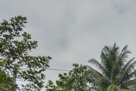 Lima Dusun di Desa Pulau Banyak Tanjungpura belum memiliki tiang listrik