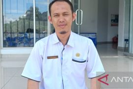 Dispanpertan Bangka catat kebun sawit rakyat bertambah 1.300 hektare