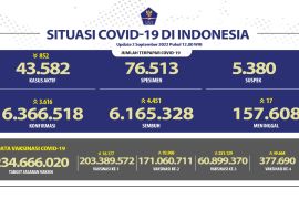 Kasus harian nasional COVID-19 capai 3.616, Jabar 791