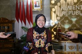 Kementerian Sosial perbaiki data terpadu agar BLT BBM tepat sasaran
