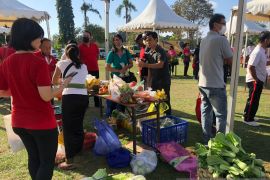 Transaksi Pasar Rakyat  Bali tembus Rp350 juta