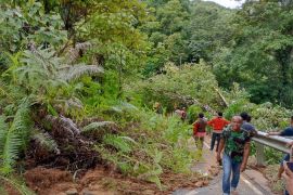 Pohon tumbang dan longsor terjadi di Padang akibat cuaca buruk