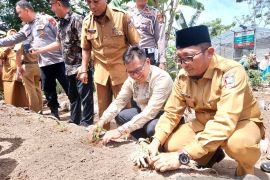 Padang tanam 15 ribu bibit cabai di pekarangan warga atasi inflasi