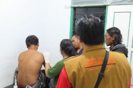 Lagi, karyawan perusahaan di Pelalawan diserang harimau