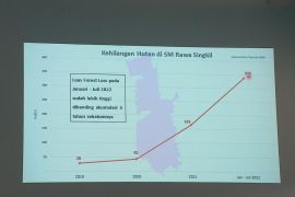 Yayasan HAkA temukan deforestasi di SM Rawa Singkil