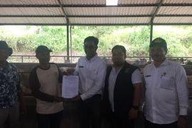 Disnak Aceh serahkan bantuan sapi di Aceh Besar