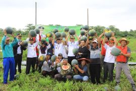 Pendapatan menjanjikan, Gubernur ajak generasi muda untuk bertani