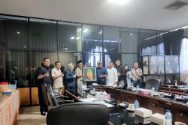 Pelukis Kalsel diharapkan berjaya