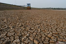 Debit air Waduk Dawuhan Madiun menyusut