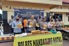Polres Madina ringkus kurir ganja antarprovinsi, barang bukti 19 kg
