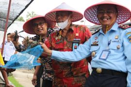 Melihat panen perdana Lobster di Lapas Pasir Pengaraian