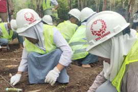 Menggali Candi Pulau Sawah, Peradaban Tua di Tepian Batang Hari