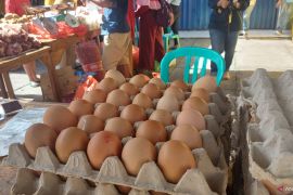 Pemprov Papua: Harga bahan pokok stabil setelah kenaikan BBM