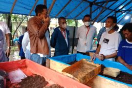 Kampung Berseri Astra Bongas Kulon upaya tingkatkan kesejahteraan warga