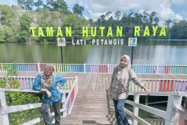 DLH Paser kembangkan wisata alam Tahura Lati Petangis