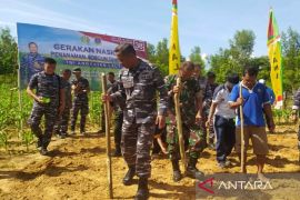 Lanal Kendari menggandeng petani budidaya tanaman sorgum