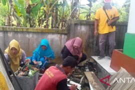 Dinkes: DBD di Kabupaten Bangka capai 229 kasus