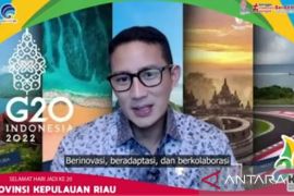 Pawai lampion di Tanjungpinang ikut majukan pariwisata dan ekonomi kreatif