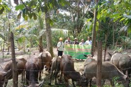 PT Arara Abadi-APP Sinar Mas kembali lakukan program Desa Peduli Api di Kampar