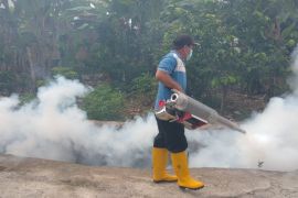 Jumlah kasus DBD di Agam capai 162 kasus dan dua meninggal dunia