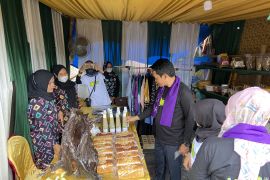 Bupati apresiasi Kecamatan Juai atas gelaran expo UMKM