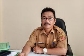 2.241 ekor kelahiran anak sapi di Agam selama tujuh bulan