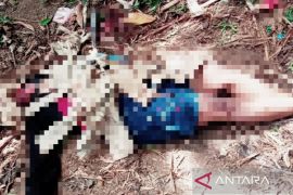 Polisi identifikasi mayat perempuan ditemukan di TPA Arfai