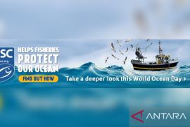 MSC sebut riset temukan lampu LED kurangi tangkapan tidak diinginkan