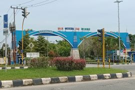 Masyarakat Penajam diminta waspada serangan nyamuk "aedes aegypti""