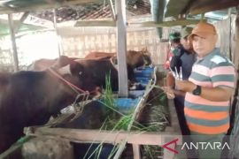 Antisipasi PMK, Pemkab Pamekasan terima 37.500 dosis vaksin