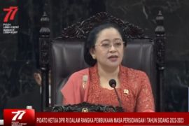 Ketua DPR ingatkan Satgas bisa selesaikan kebocoran data