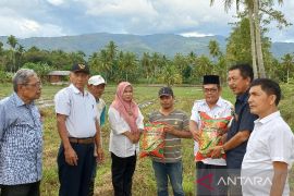 Perkuat sektor pangan, HKTI Tapsel serahkan benih dukung demfarm padi sawah