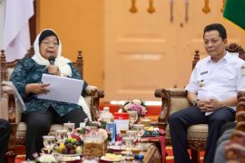 Atasi konflik satwa dengan manusia, ini yang langkah Menteri LHK