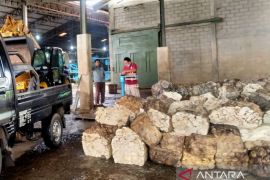 Harga getah karet di Bengkulu turun jadi Rp5 ribu per Kg