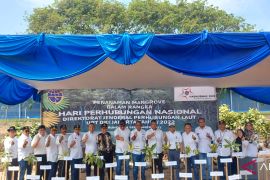KCN tanam 1.000 bibit mangrove di Marunda sambut Hari Perhubungan