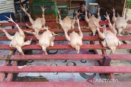 Harga daging ayam di Banda Aceh naik
