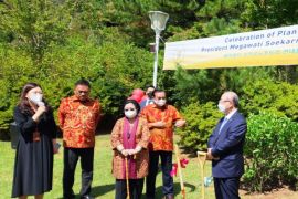Megawati dan Olly Dondokambey tanam pohon di Jeju Korsel