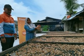 UMKM keripik kulit Riau naik kelas berkat sentuhan BTPN Syariah