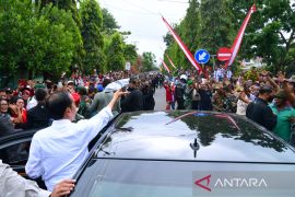 Presiden Jokowi beri bansos dan temui peternak kerbau di Maluku