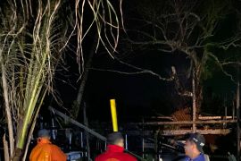 Kandang ternak milik guru SLB Agam terbakar, sembilan ekor sapi mati terbakar