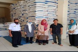 Dinas TPHP Sulsel aktifkan pengawasan peredaran pupuk dan benih