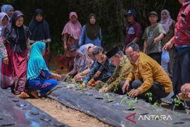 Kelompok wanita tani tanam cabai bersama kepala daerah